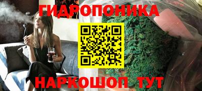 гидропоника Гусь-Хрустальный