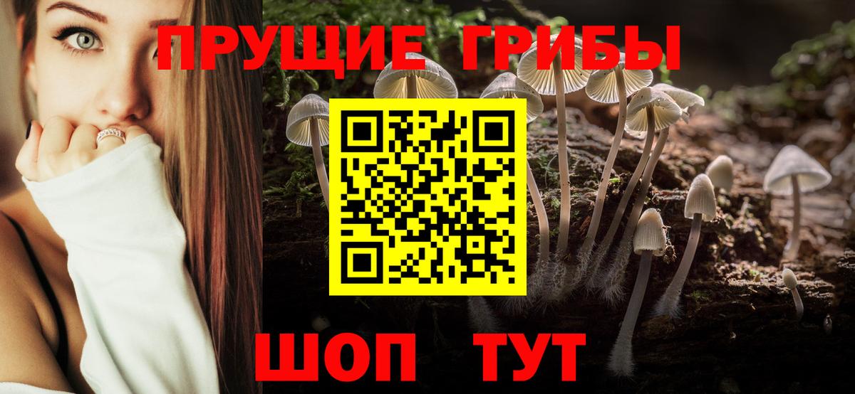 Галлюциногенные грибы MAGIC MUSHROOMS  Вход с VPN  Советская Гавань 
